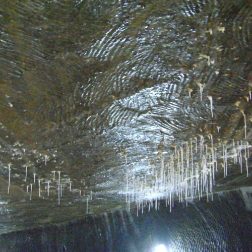 Evidențierea unor mici stalactite pe plafonul salinei.